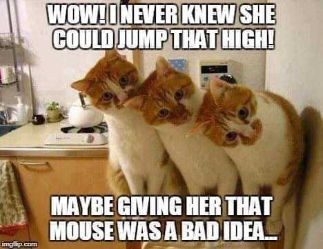 give mom a mouse.jpg