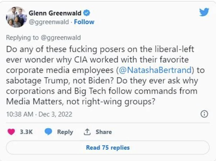 glenngreenwaldCIAStooges.jpg