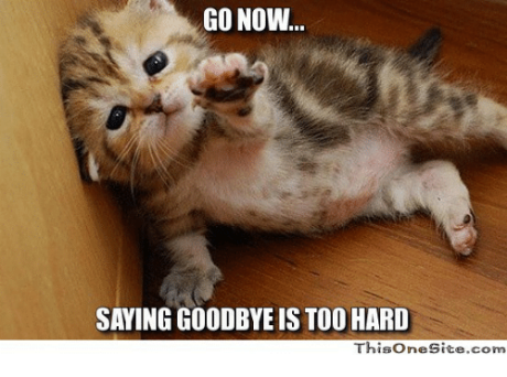 go-now-saying-goodbye-is-too-hard-thisonesite-com-4670964.png