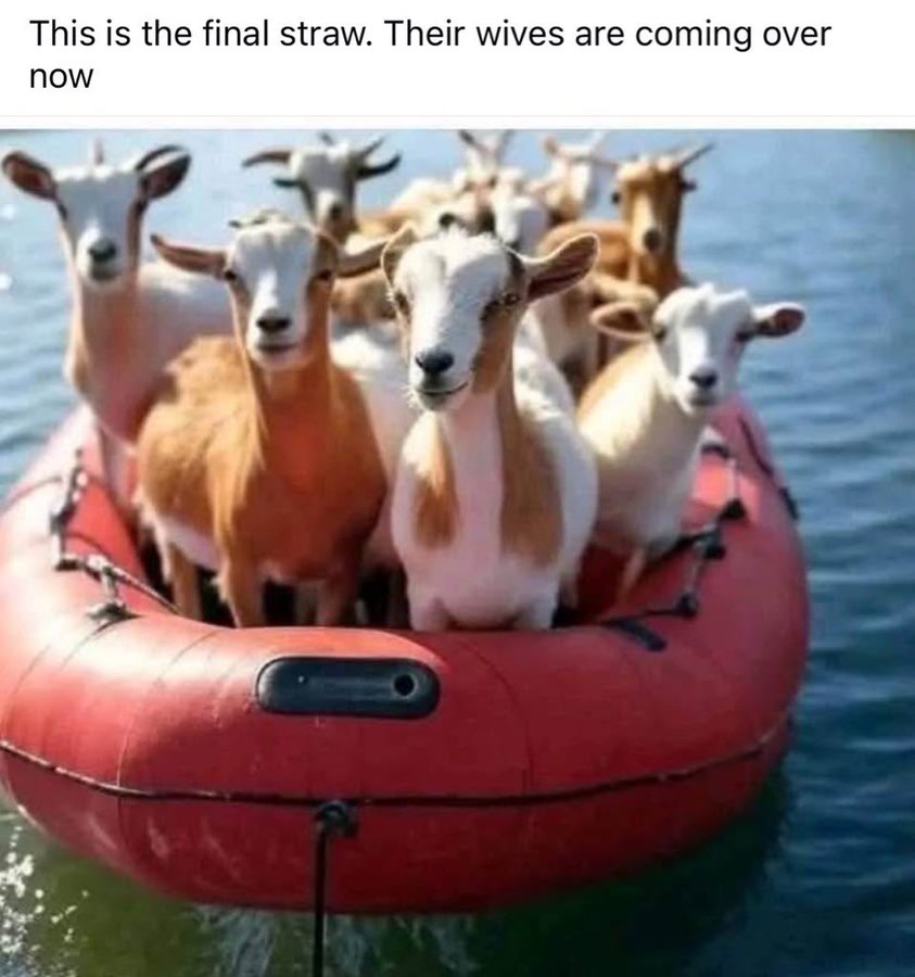 goats.jfif