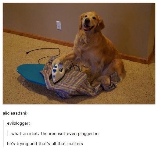 goldendoesironing.jpg