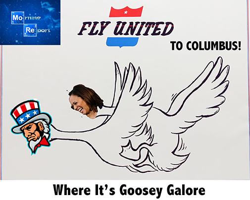 gooseygalore.jpg