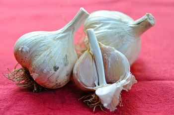 hardneck-garlic.jpg