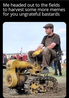 harvest1.jpg