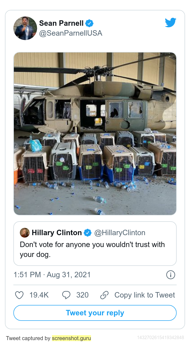 hillarydog.png