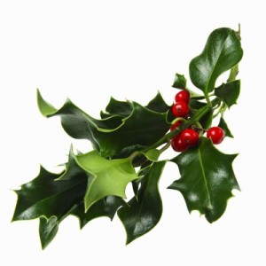 holly-sprig-300x300.jpg