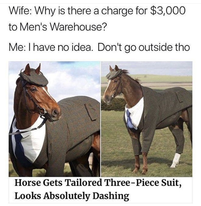 horse2.jpg