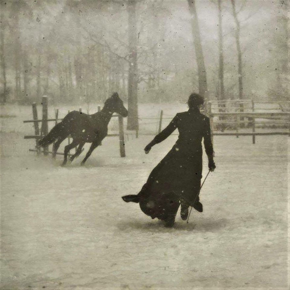 horseandtrainer.jpg