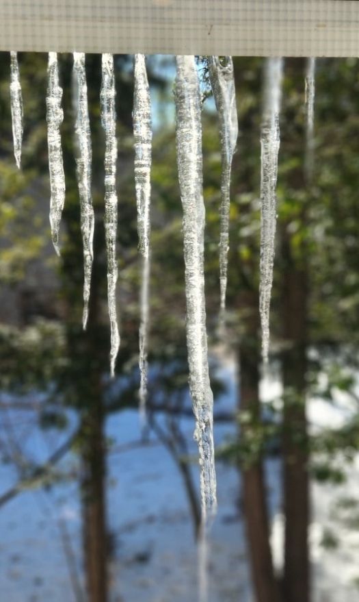 icicle26.jpg
