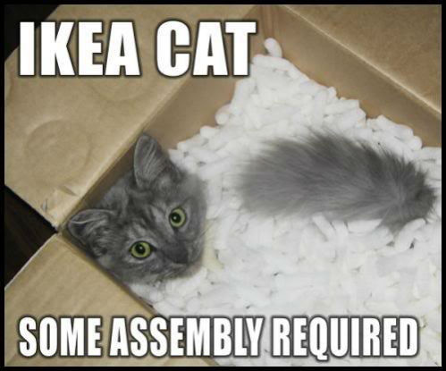 ikea-cat-some-assembly-required.jpg