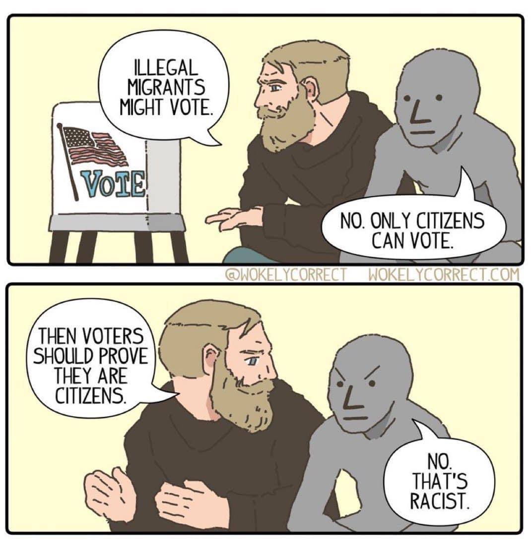 illegalaliensvoting.jpg