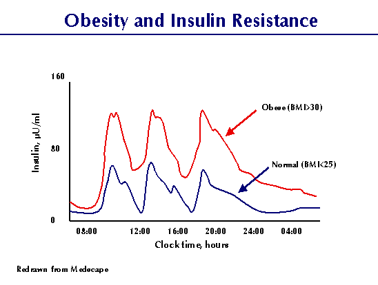 insulinresistancethroughouttheday.gif