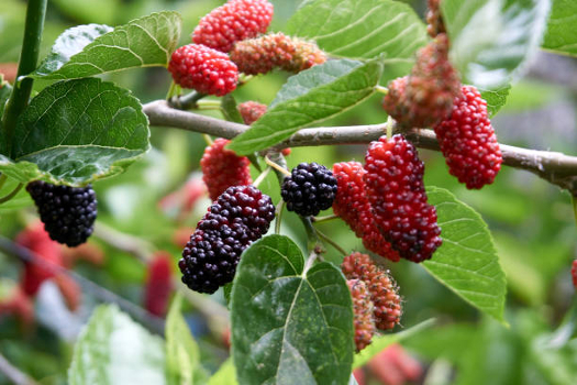 istockphoto-1386191320-612x612.jpg