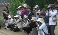 japanese_tourist_picture.jpg