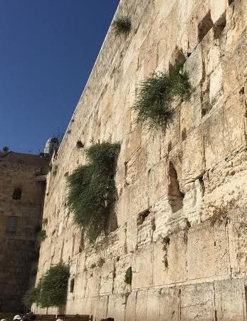 jerusalem-wall-p.jpg