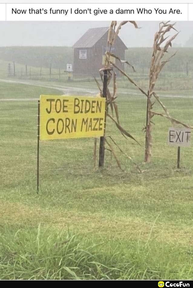 joebidencornmaze.jpg