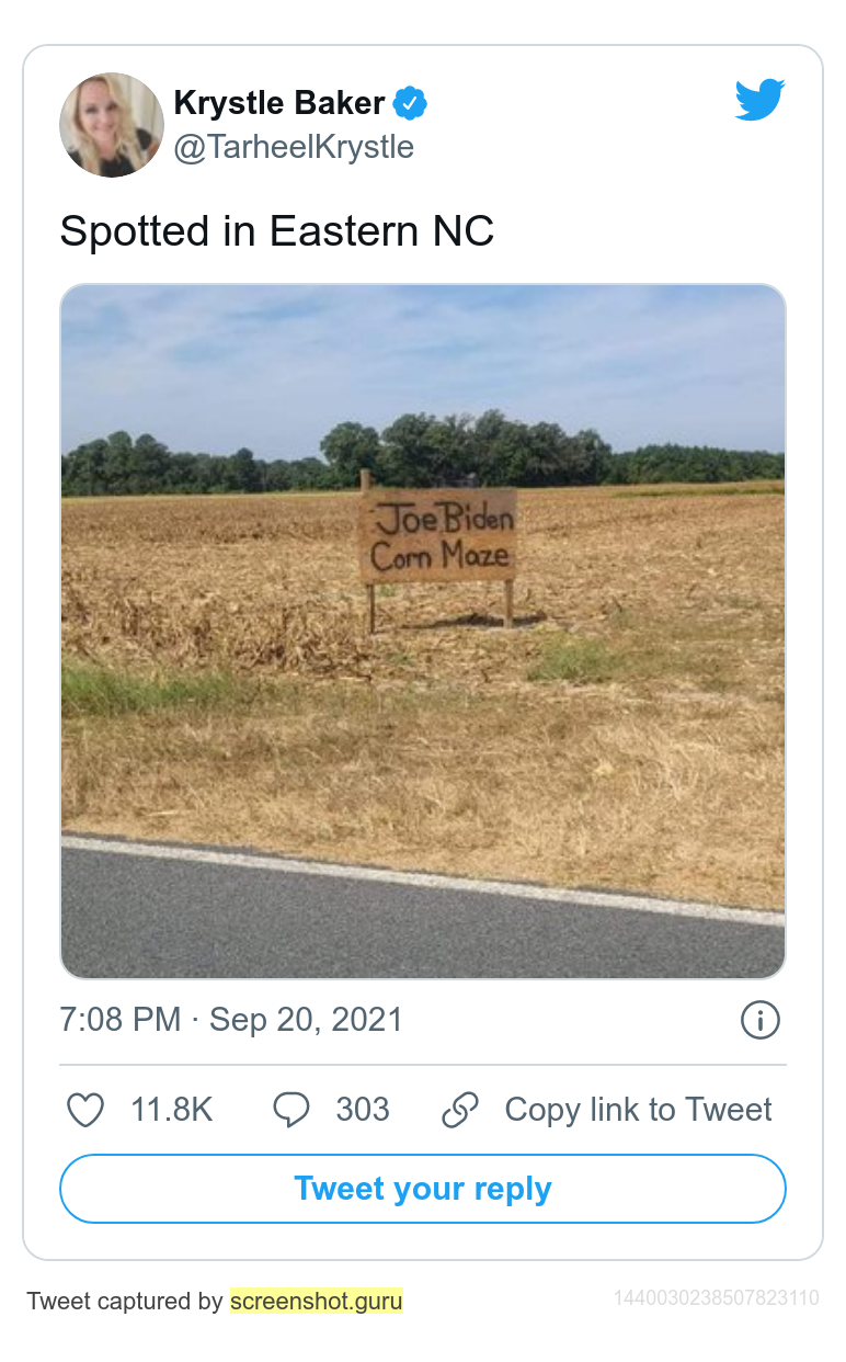 joebidencornmaze.png