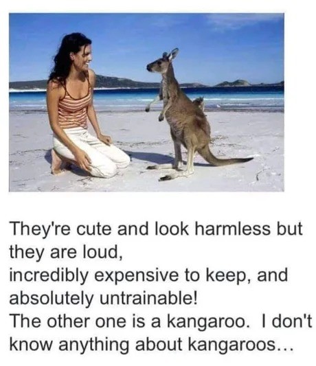 kangaroo.jpg