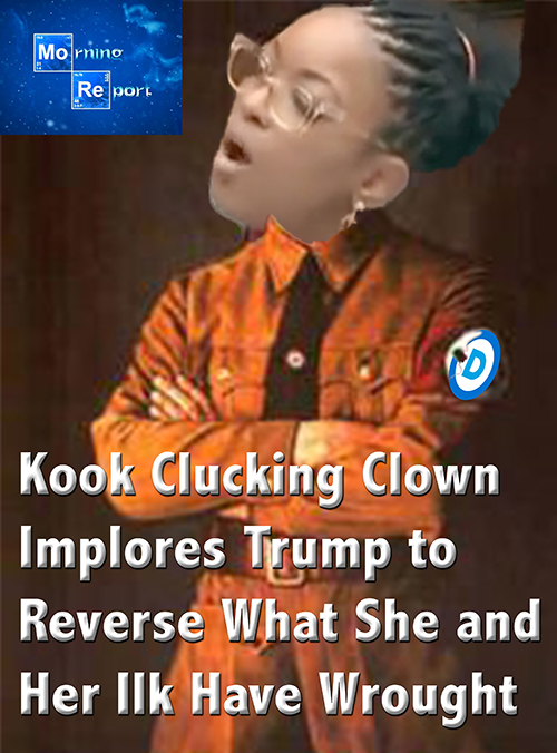 kookcrockett.jpg