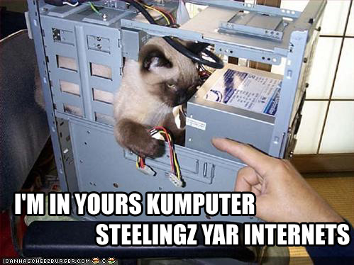 lolcat_internet.jpg