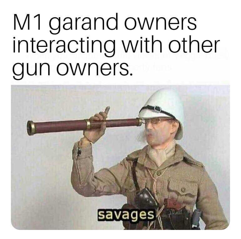 m1.jpg