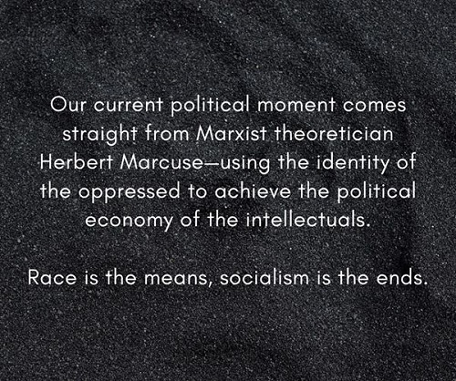 marcuse.jpg