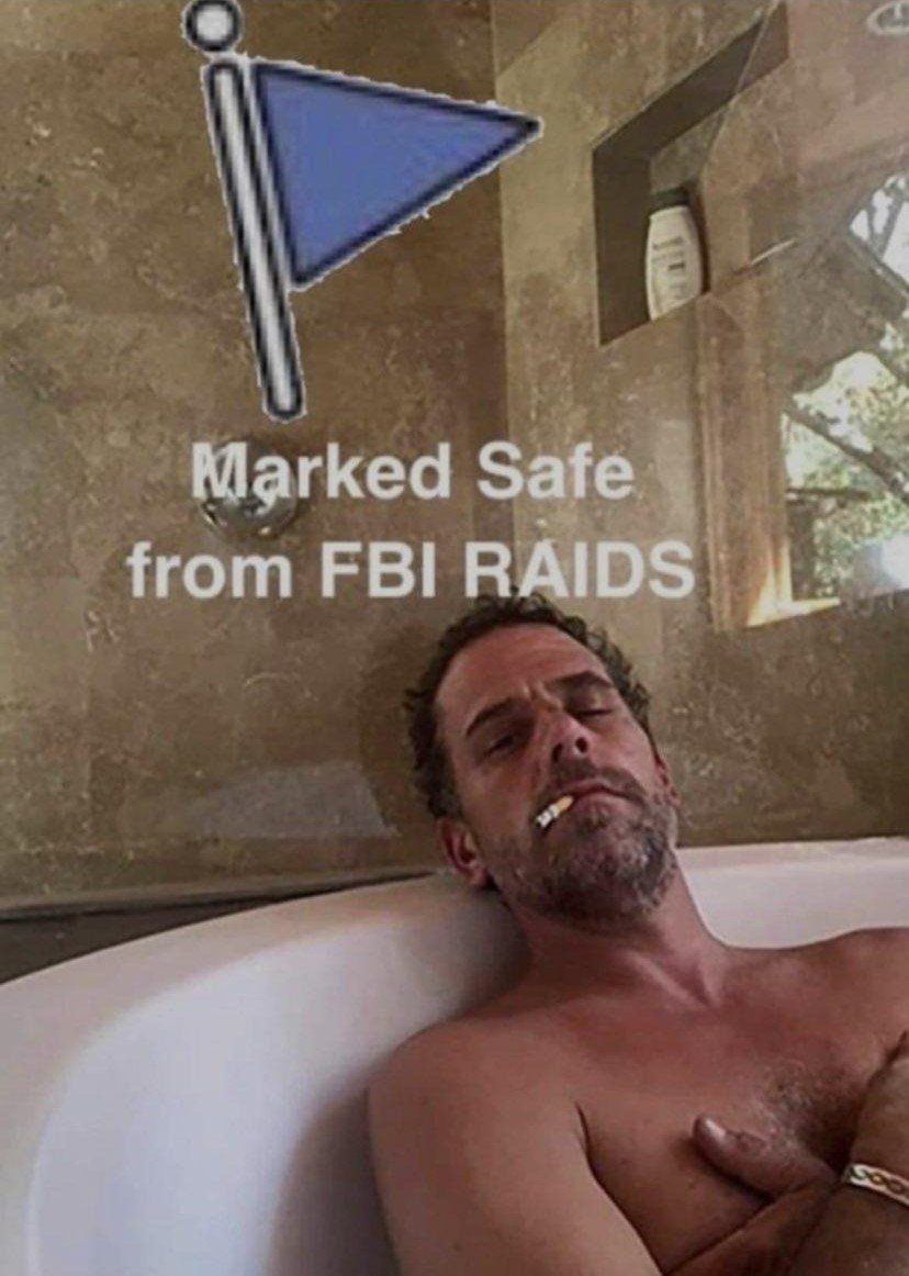 markedsafefromfbiraids2.jpg