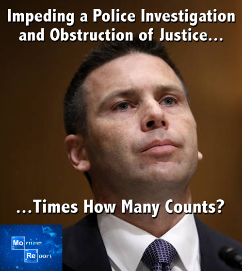 mcaleenan.jpg