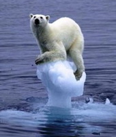 melting-ice-polar-bear.jpg