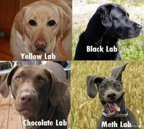 methlab.jpg