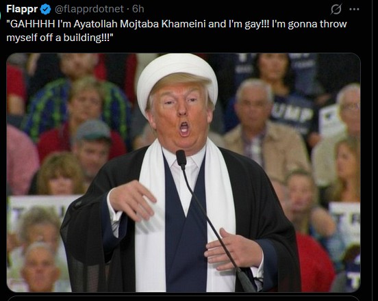 mojtabagaytrump.jpg