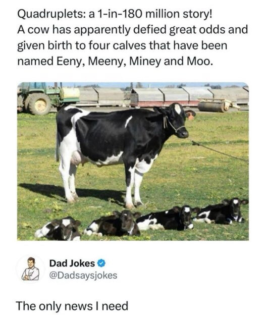 moo.jpg
