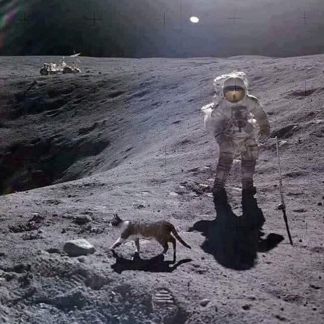 moonlandingfaked.jpg