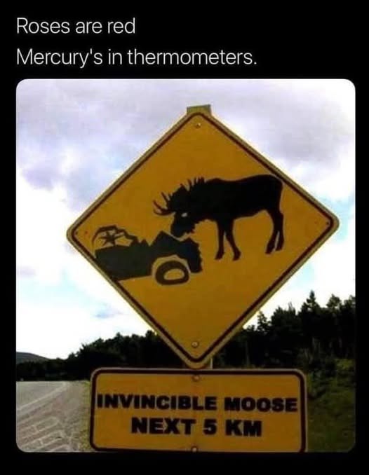 moose2.jpg