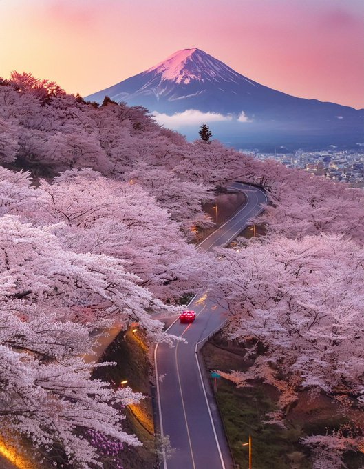 mountfujiwithcherryblossoms.jpg