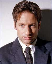 mulder-fox.jpg