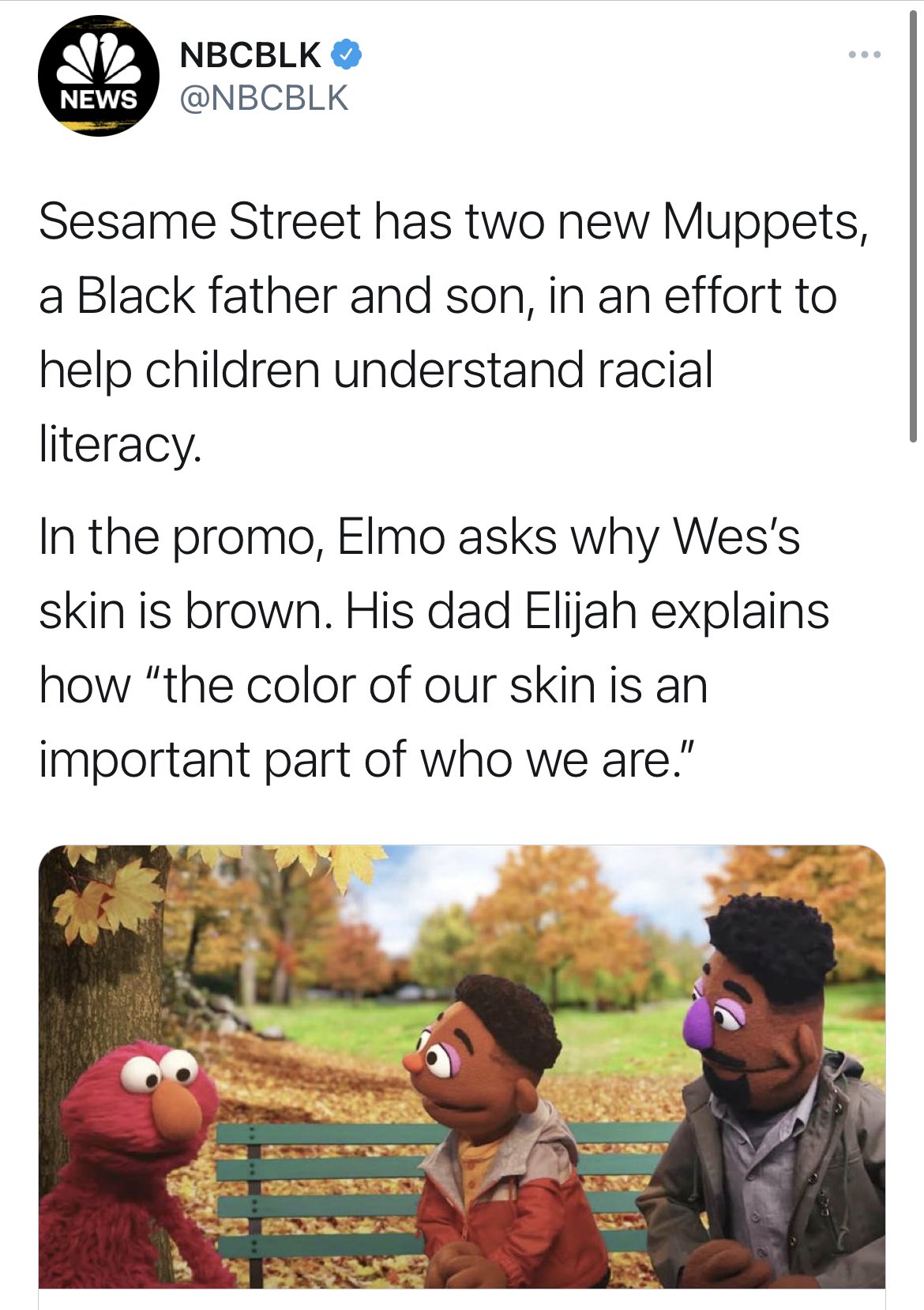 muppetsracism.jpg