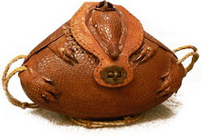 my-armadillo-handbag.jpg