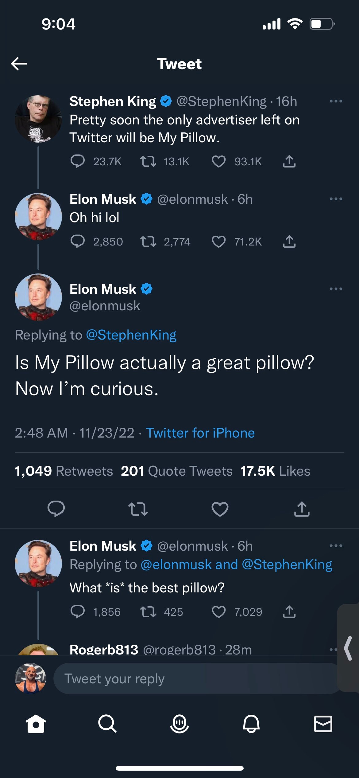 mypillowmusk.jpg