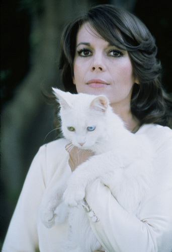 natalie_wood_kitteh.jpg