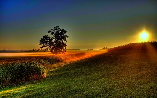 nature-landscapes_widewallpaper_a-new-dawn-awaits-520.jpg