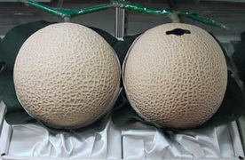 nice_melons.jpg