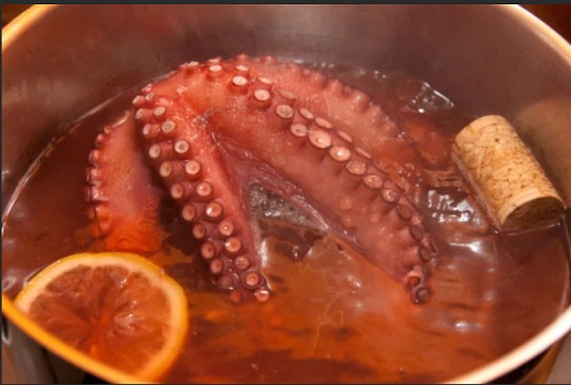 octopuscork.jpg