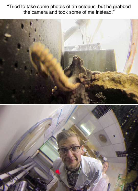 octopusphotographer.jpg