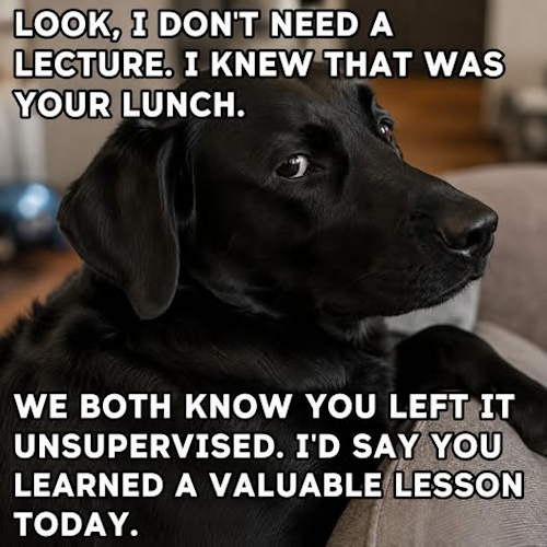 ont-doghouse-lunch.png
