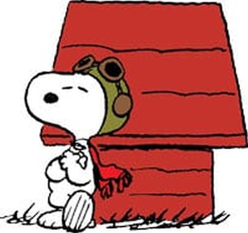 ont-doghouse-top-rr.jpg