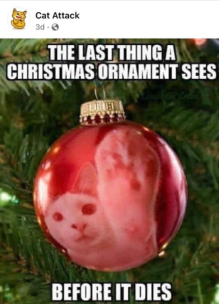 ornamnt.jpeg