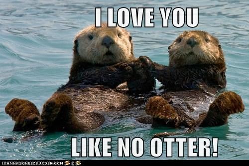 otter.jpg