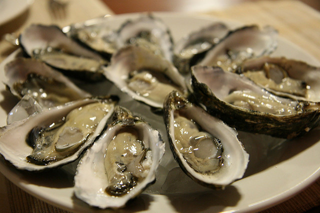 oysters10.jpg