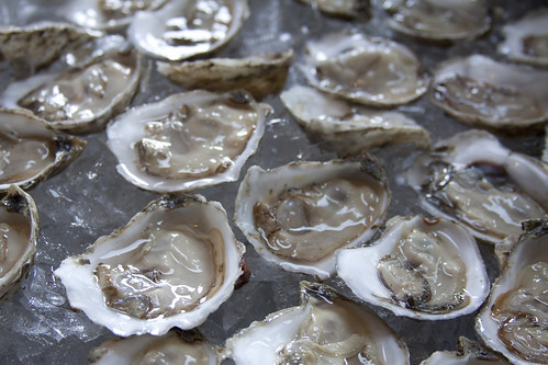 oysters78.jpg